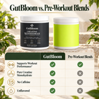 GutBloom Creatine Monohydrate compared with pre-workout blends
