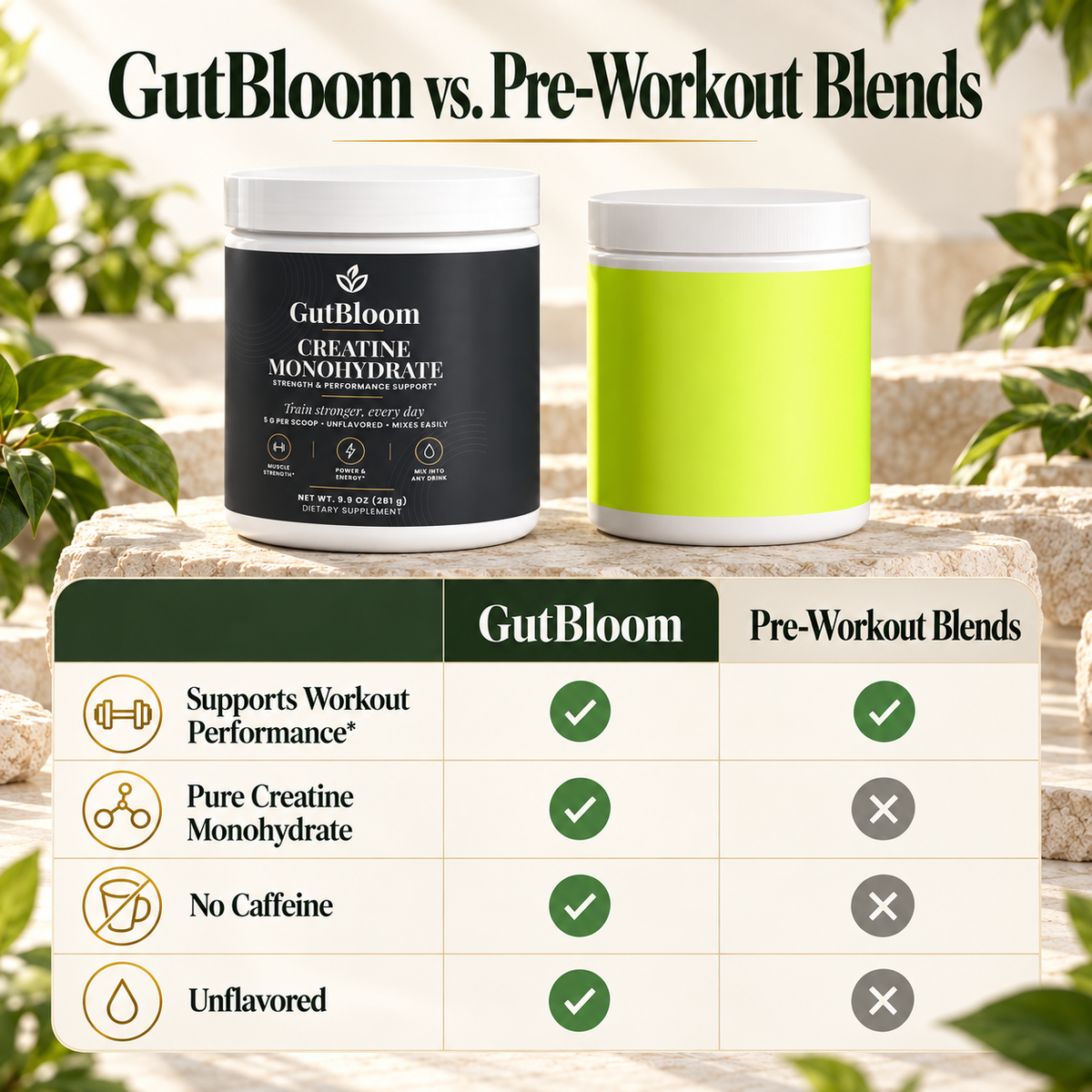 GutBloom Creatine Monohydrate compared with pre-workout blends