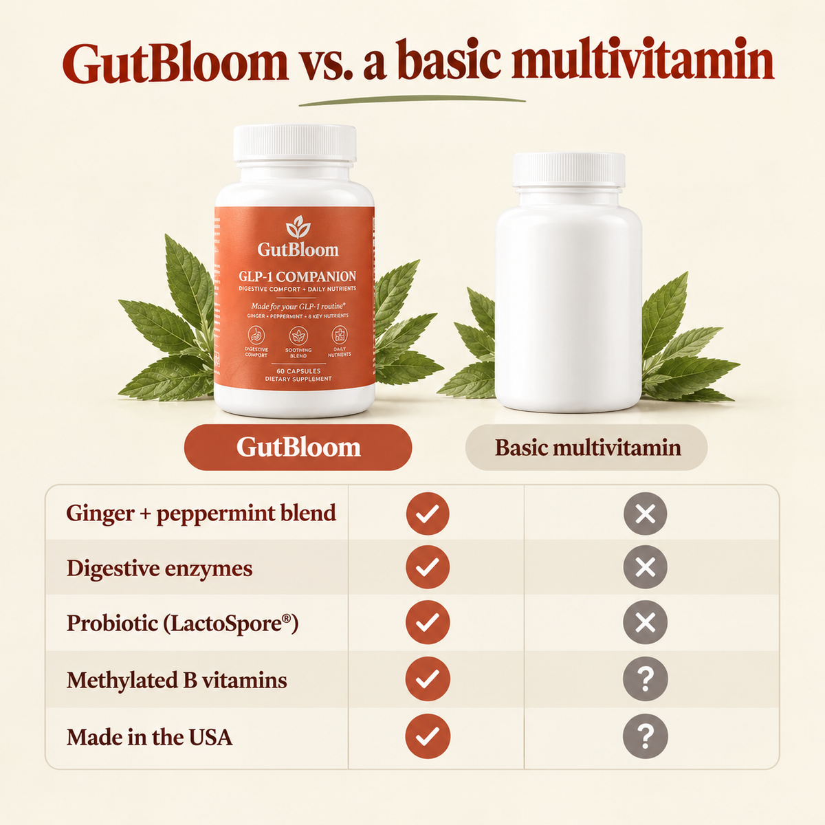 GutBloom GLP-1 Companion vs a basic multivitamin comparison
