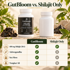 GutBloom Shilajit Complex compared with shilajit-only supplements